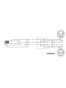 Cordial - Câble bretelle REAN 3,5mm St./2x XLR fem. 3m - ECL CFY3WFF