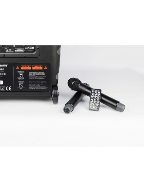 AUDIOPHONY Sono portable 12 pouces 250W sur batterie avec 2 micros UHF et lecteur Bluetooth - CR25A-COMBO