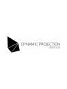 dynamic projection institute